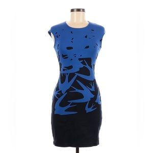 Alexander McQueen swallow print dress